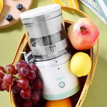 Denx - Automatic Fruit Juicer